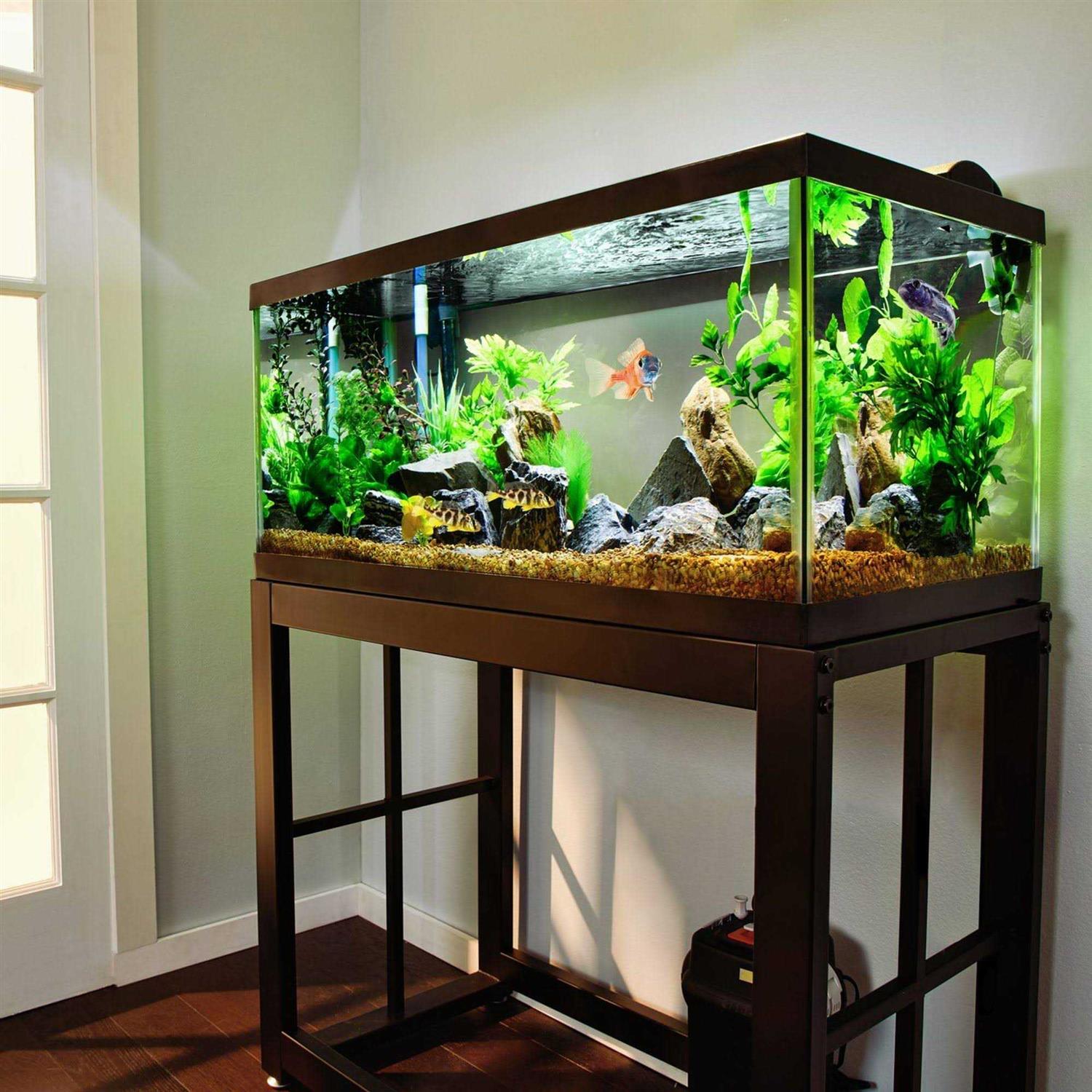 Aqueon Aquarium Black - Pet Supplies online store