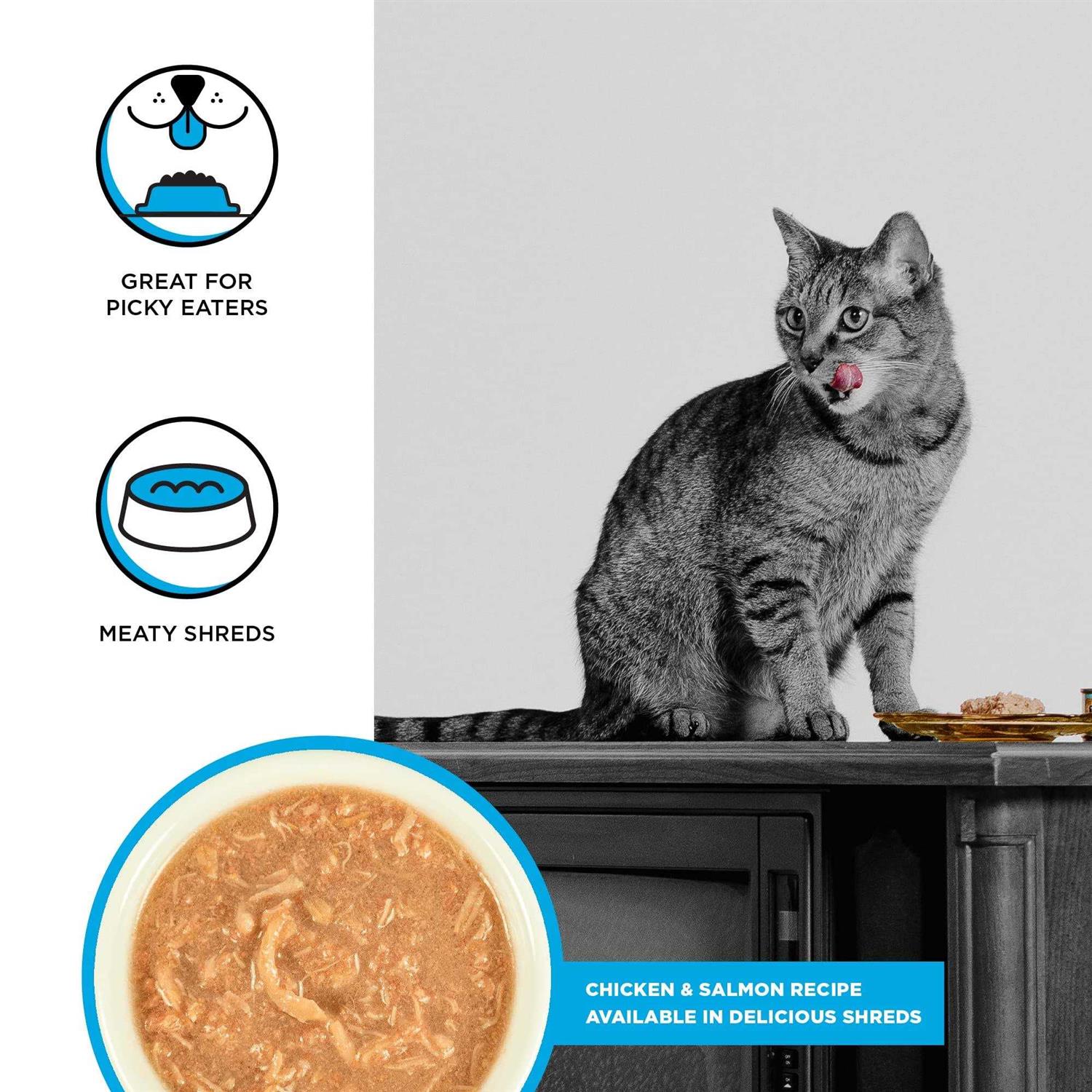 Bixbi Rawbble Chicken Recipe Shredded Canned Cat Food - Pet Supplies online store