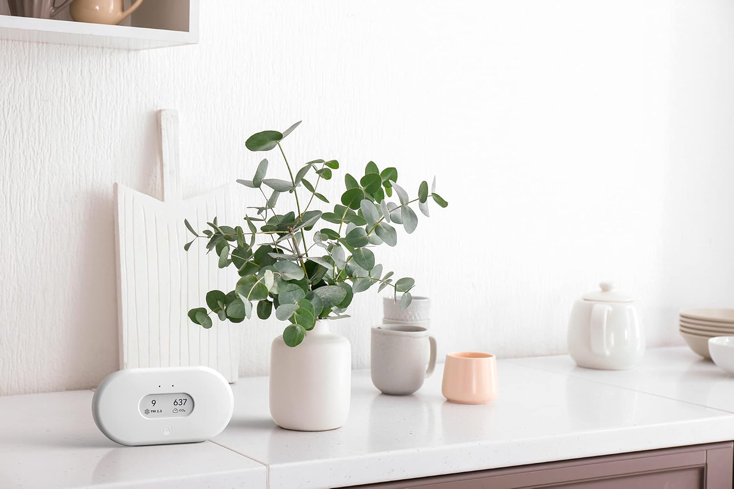 Airthings 2960 View Plus - Battery Powered Radon & Air Quality Monitor (PM, CO2, VOC, Humidity, Temp, Pressure)