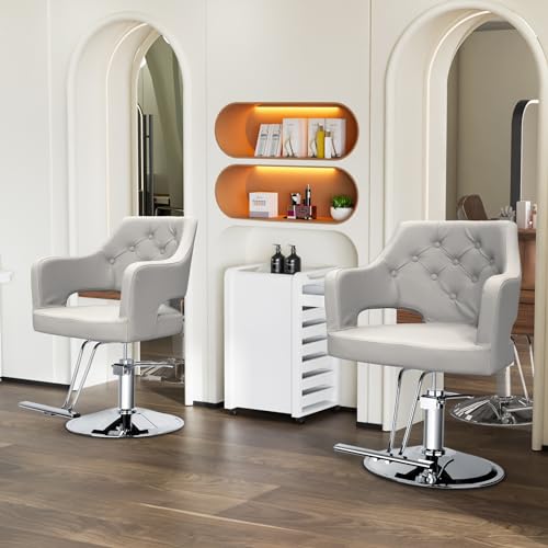 Hair Salon Chair Hydraulic Barber Chair for Home Barbershop, Styling Chair for Hair Stylist Heavy Duty, Hairdressing Beauty Spa Equipment