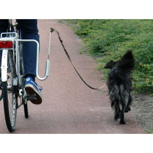 Springer Hands Free Dog Leash Bike Attachment Kit -Pet Exerciser for Running - Pet Supplies online store