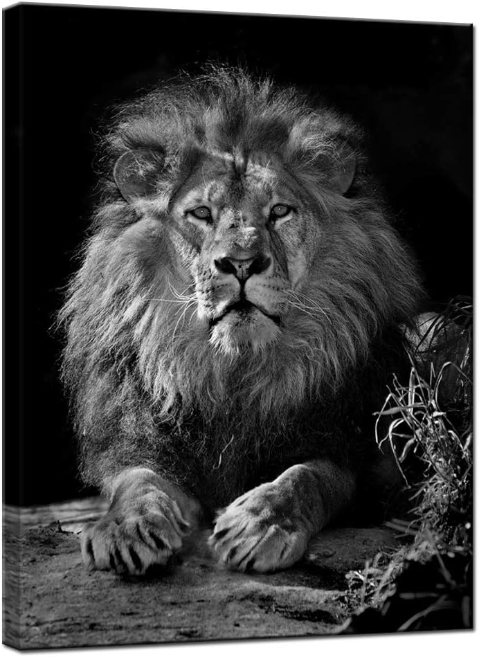Nachic Wall Lion Canvas Wall Art Modern Black and White Animal Picture Painting for Home Office Living Room Bedroom Decor Gallery Canvas Wrapped Ready to Hang
