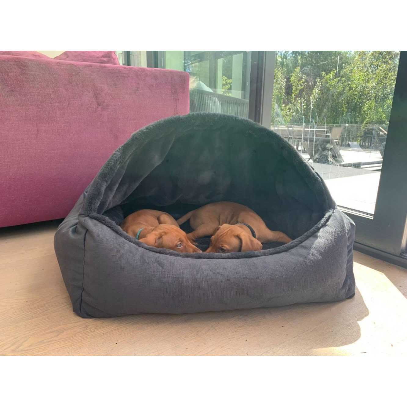 Bowsers Canopy Dog Bed - Pet Supplies online store