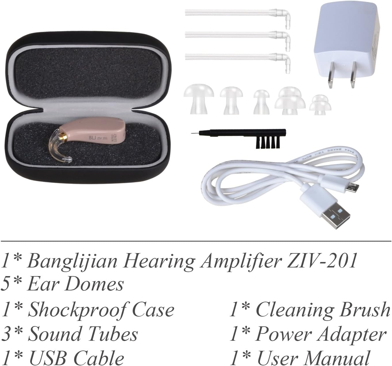 Banglijian Hearing Aid Rechargeable Ziv-201 Digital Noise Reduction and Feedback Cancellation Small Size