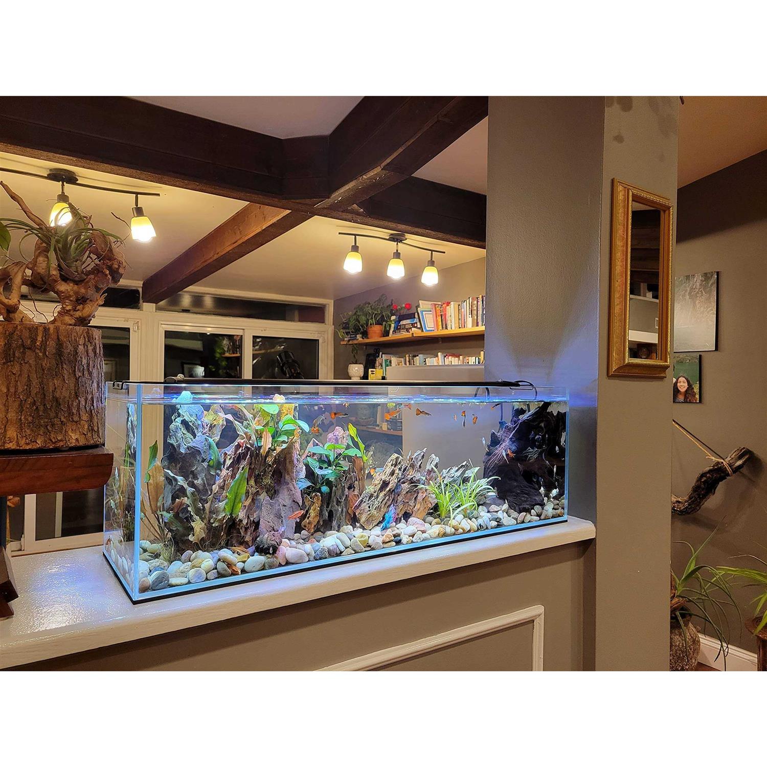 Lifegard Aquatics Crystal Bookshelf Aquarium - Pet Supplies online store