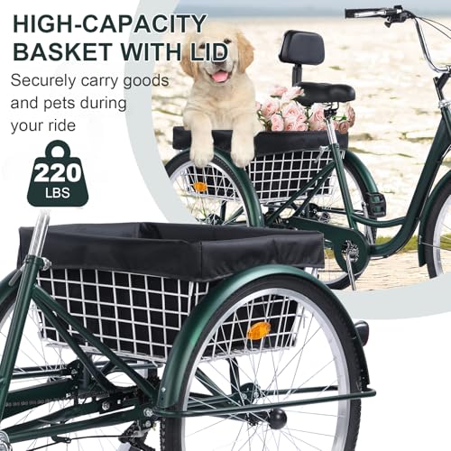 Versatile 24/26-Inch 3-Wheel Adult Tricycle with 7-Speed Gearing and Spacious Basket for Comfortable Riding and Storage for Recreation, Shopping, Picnics