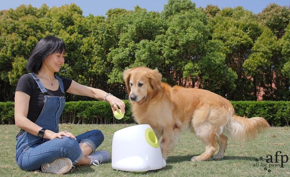 ALL FOR PAWS Dog Ball Launcher Automatic,Automatic Ball Launcher for Dogs,Maxi Ball Thrower for Dogs,Dog Toys Interactive,includes 9pcs Tennis Balls for Dogs