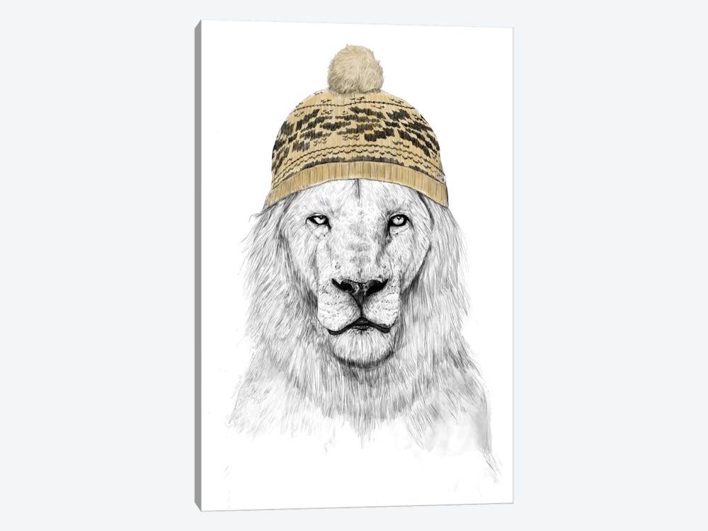 Balazs Solti Canvas Wall Decor Prints - Winter Is Here ( Animal Art u003E Wildlife u003E Wild Cats u003E Lions art)