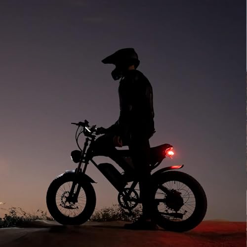 Electric Bike for Adults, 1000/2000W, 25/30/37MPH,48V-52V, 20AH,40AH Battery, Max 50-180 Miles Electric Motorcycle, 20" Fat Tire Dirt Bike, Shamano 7-Speed E-Bike
