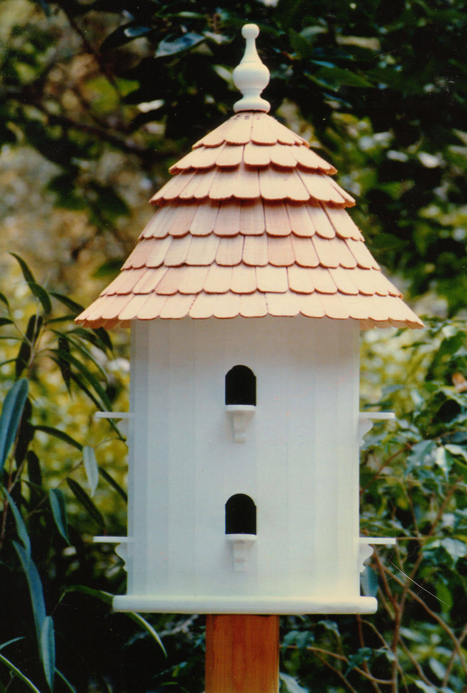 Lazy Hill Bird House