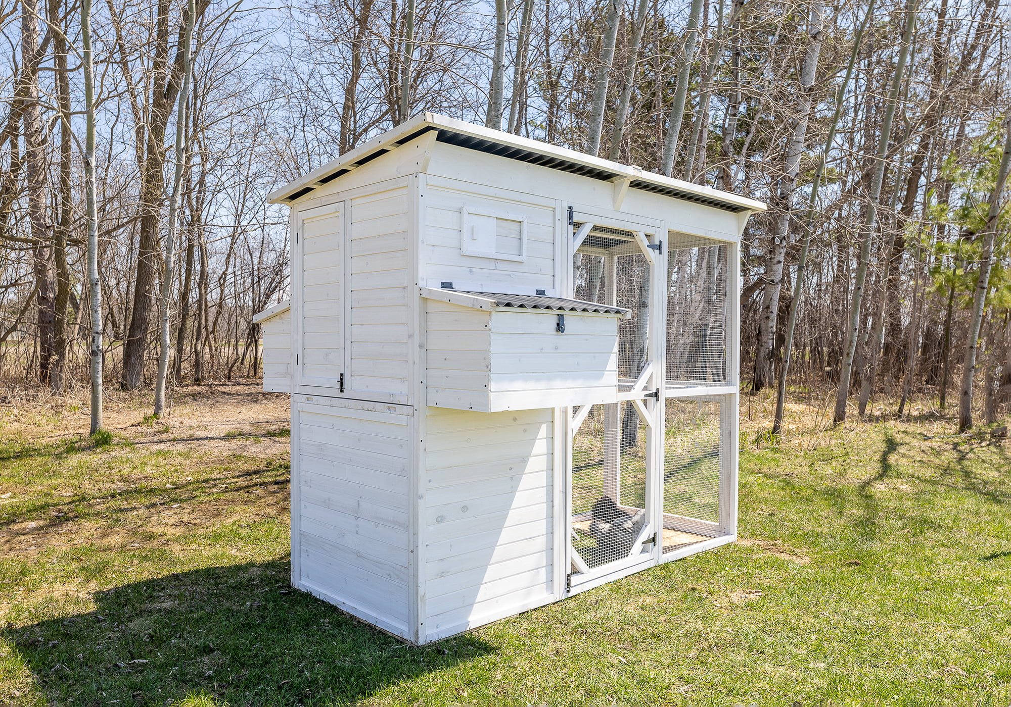 Zylina Modern Walk-In Hen House - Chicken Coop