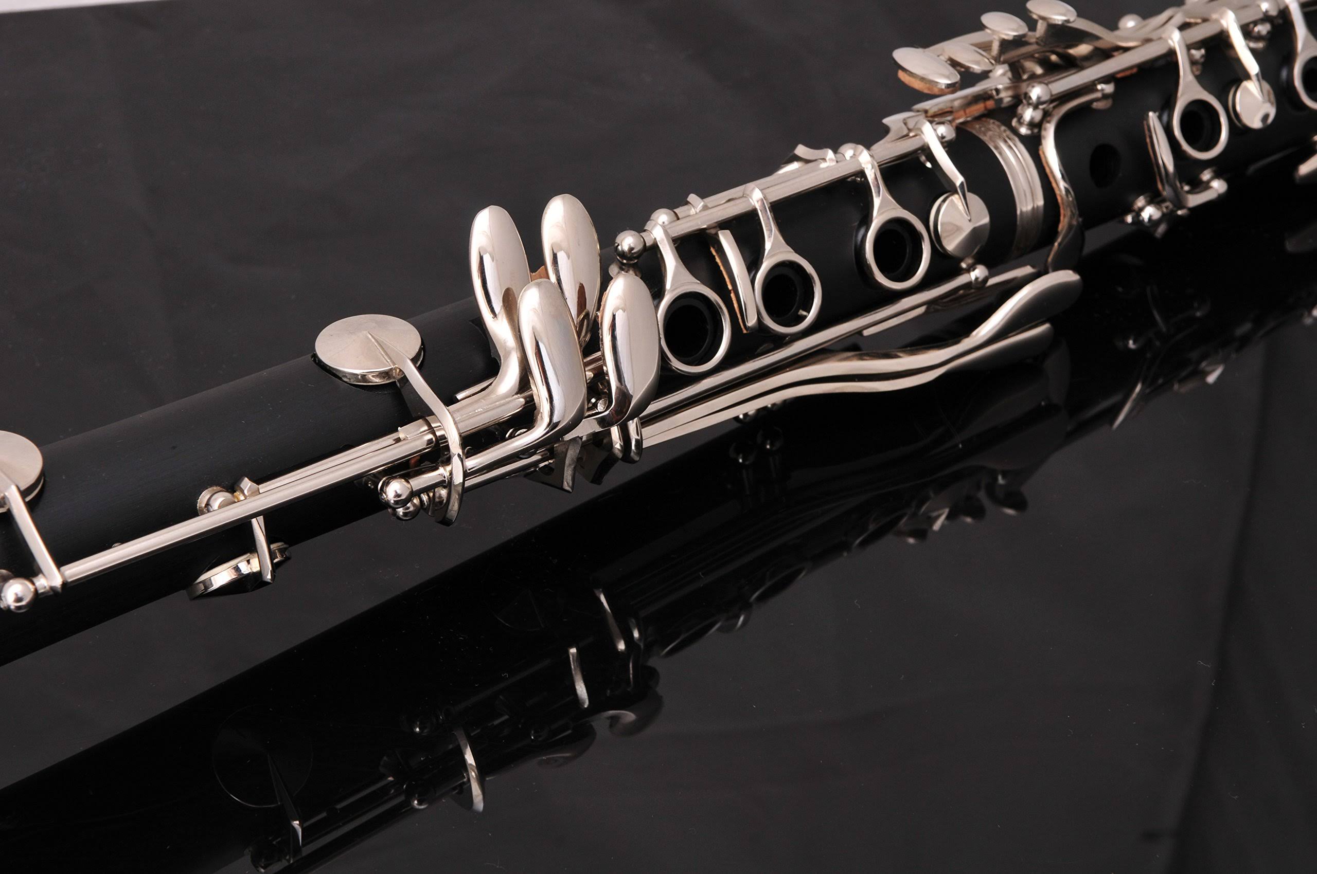 Glory B Flat Clarinet with Second Barrel, 11reeds,8 Pads cushions,case,carekit and More Black/Silver Keys