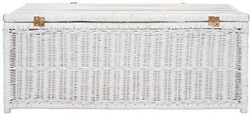 Safavieh Kestin Rattan Storage Trunk - White/Brown
