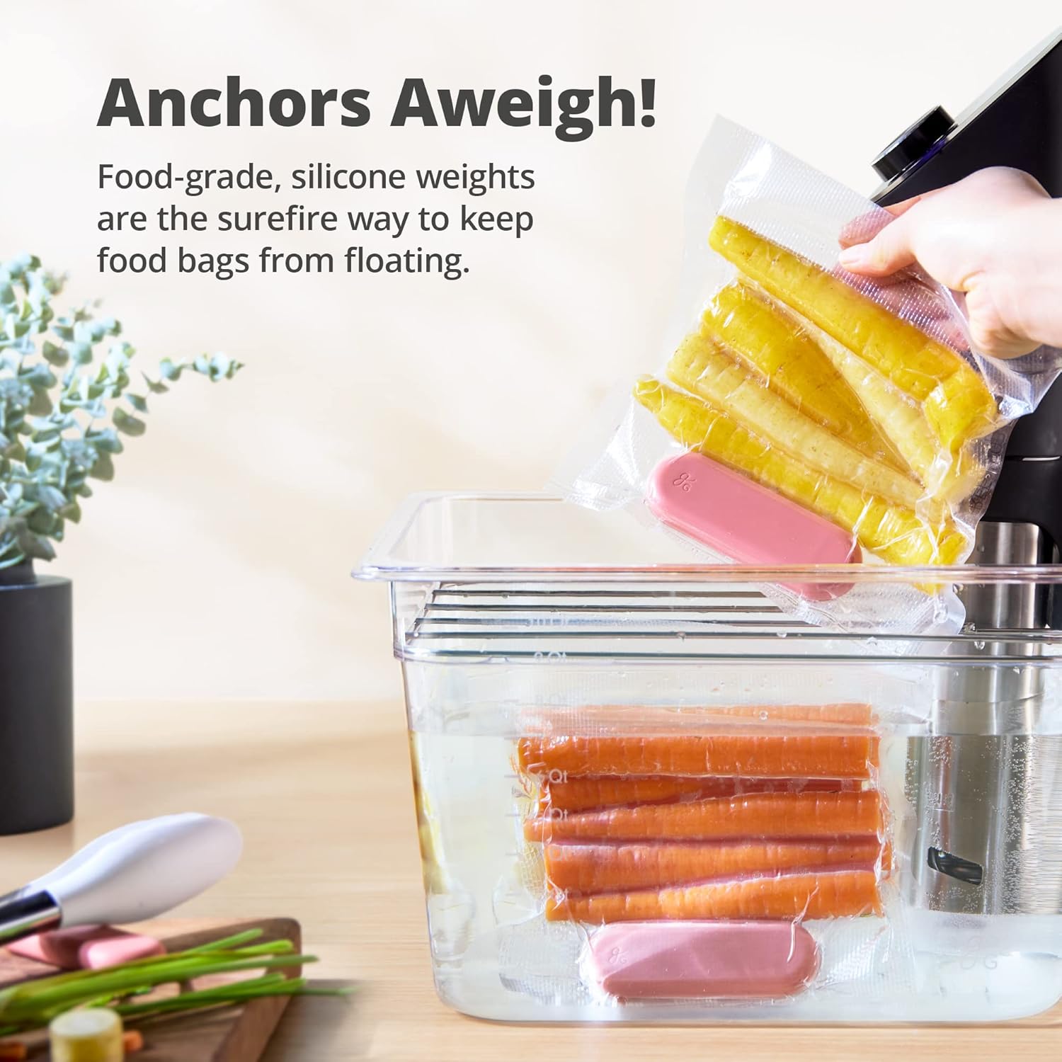 Greater Goods Holiday Sous Vide Bundle with Sous Vide Cooker, Container, and Silicone Weights, Designed in St. Louis. Birch White/Pink.
