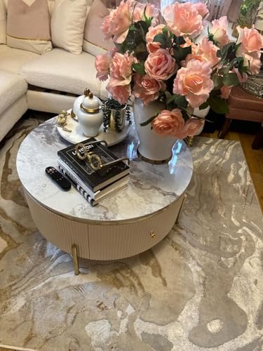 Modern Round Lift-top Nesting Coffee Tables with 2 Drawers for Living Room White & Natural