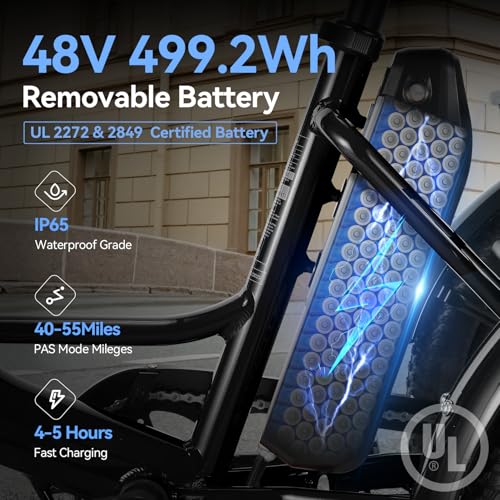 Vivi T01 20" x2.6 Fat Tire Electric Tricycle for Adults, 750W Peak 20'' Folding 3 Wheels Electric Bike, 95% Pre-Assembled, Speed Differential, 15.5MPH Eletric Trike with Bracket