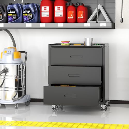 Metal Storage Cabinet with Wheels, Lockable Garage Cabinet with Doors and Shelves, Rolling Tool Storage, Assembly Required, Black