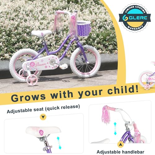 Glerc Daisy 12 14 16 Inch Girl Princess Style Bike for 2-7 Years Old with Training Wheels & Basket & Streamers, Multiple Colors