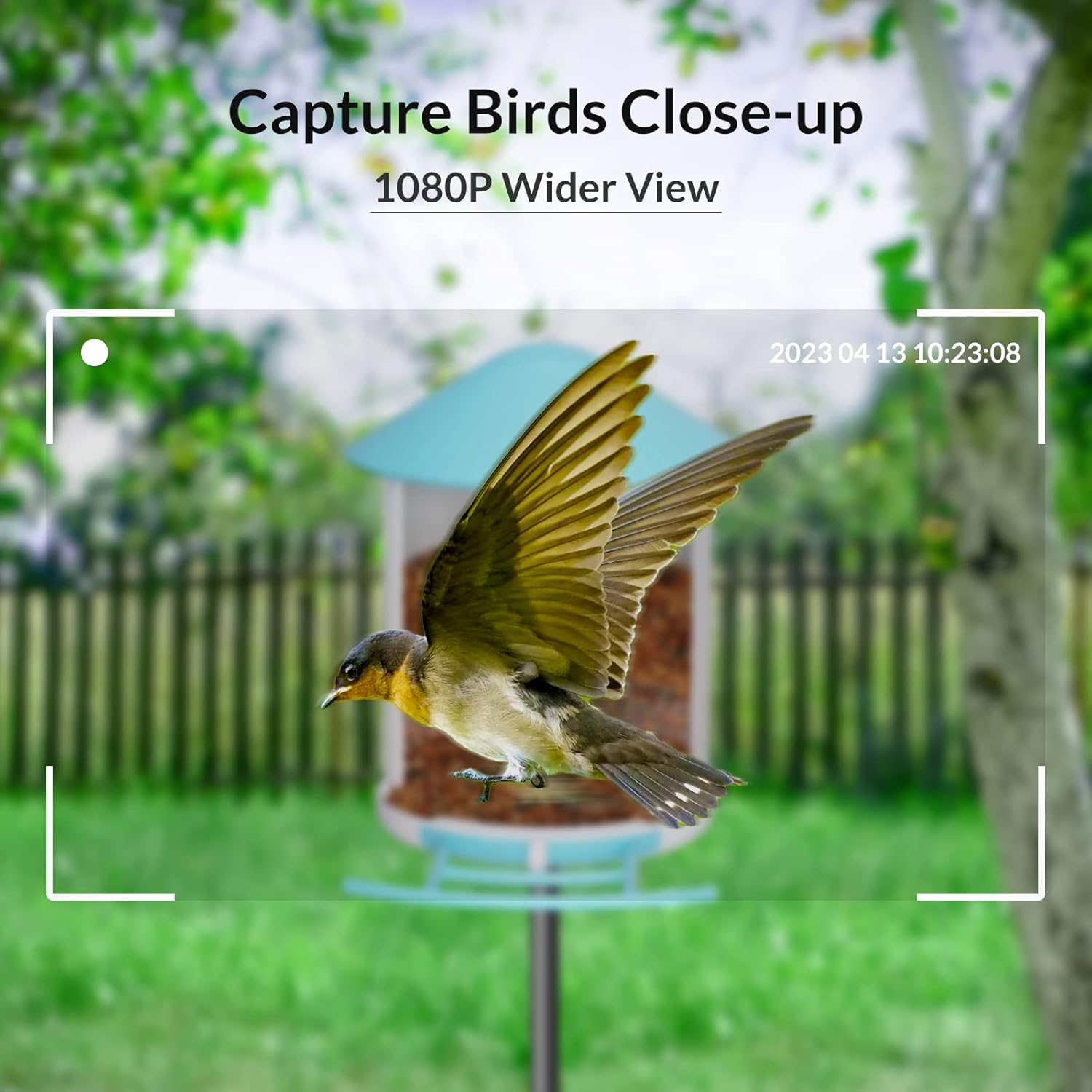 NETVUE Smart Bird Feeder with Camera, Auto Capture Bird Video & Notify, Battery Powered Wireless Outdoor Bird Watching Camera, Ideal Gift for Bird Lover
