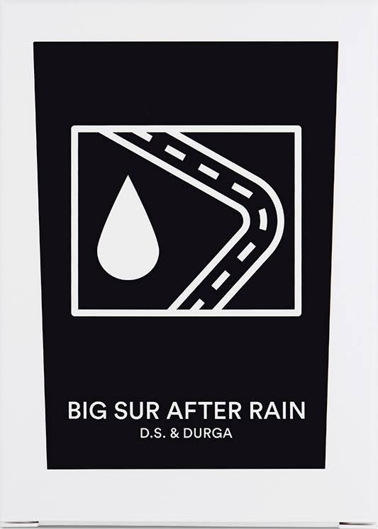 D. S. u0026 Durga Big Sur After Rain Candle 7 oz