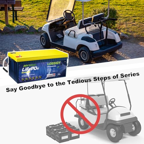 LOSSIGY 12V 300AH LiFePO4 Lithium Battery, Built in BMS with 10 Yrs Lifespan, Perfect for Solar System, RV, Marine