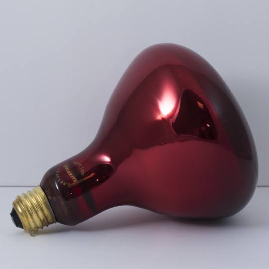 Bulbrite Incandescent (INC) BR40 250W Dimmable Red Heat Lamp Light Bulb, 6 Pack (714125)