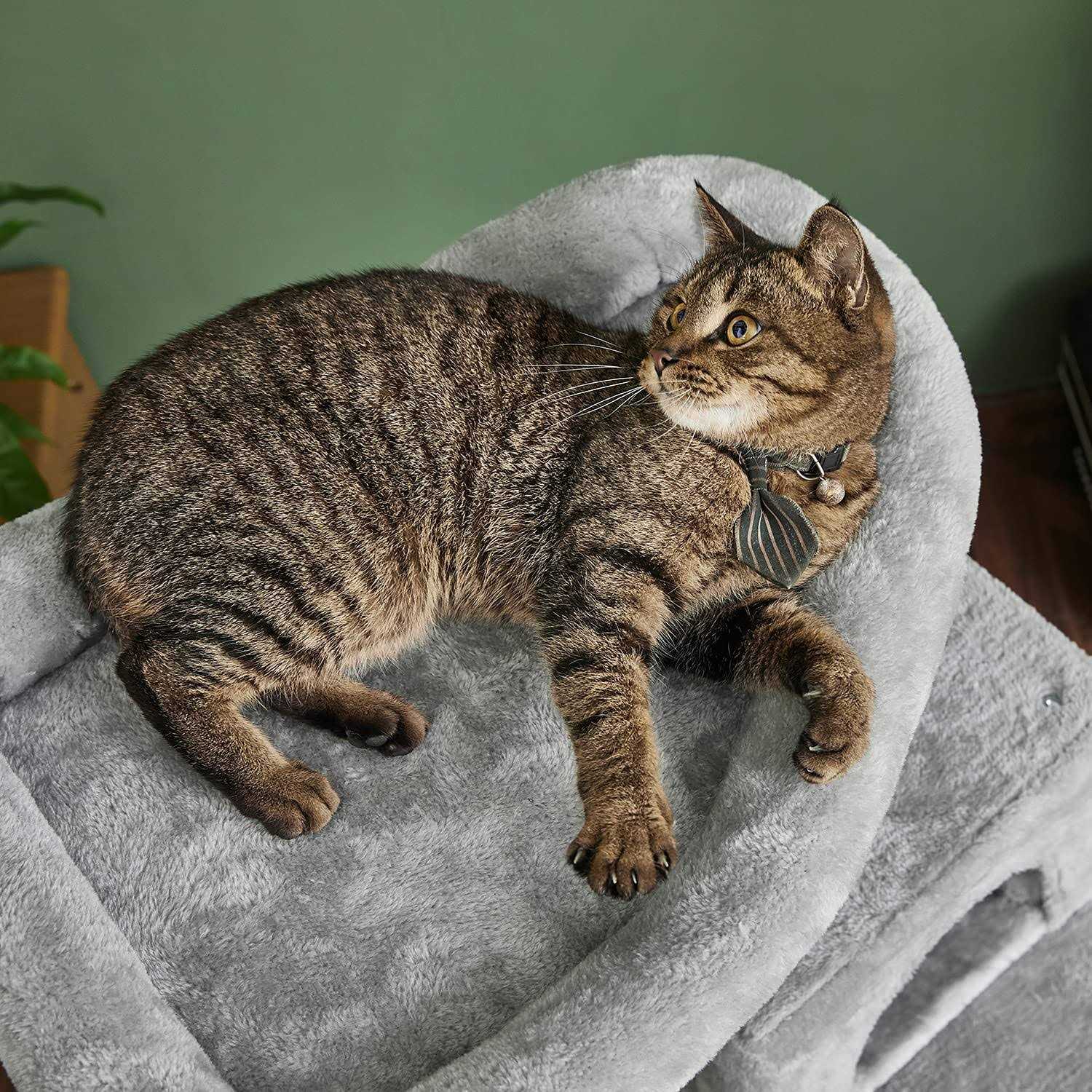 Catinsider 46.5 inches Cat Tree Multi-Level Cat Tower with Sisal-covered Scratching Posts Plush Perches Hammock and condo for ca - Pet Supplies online store