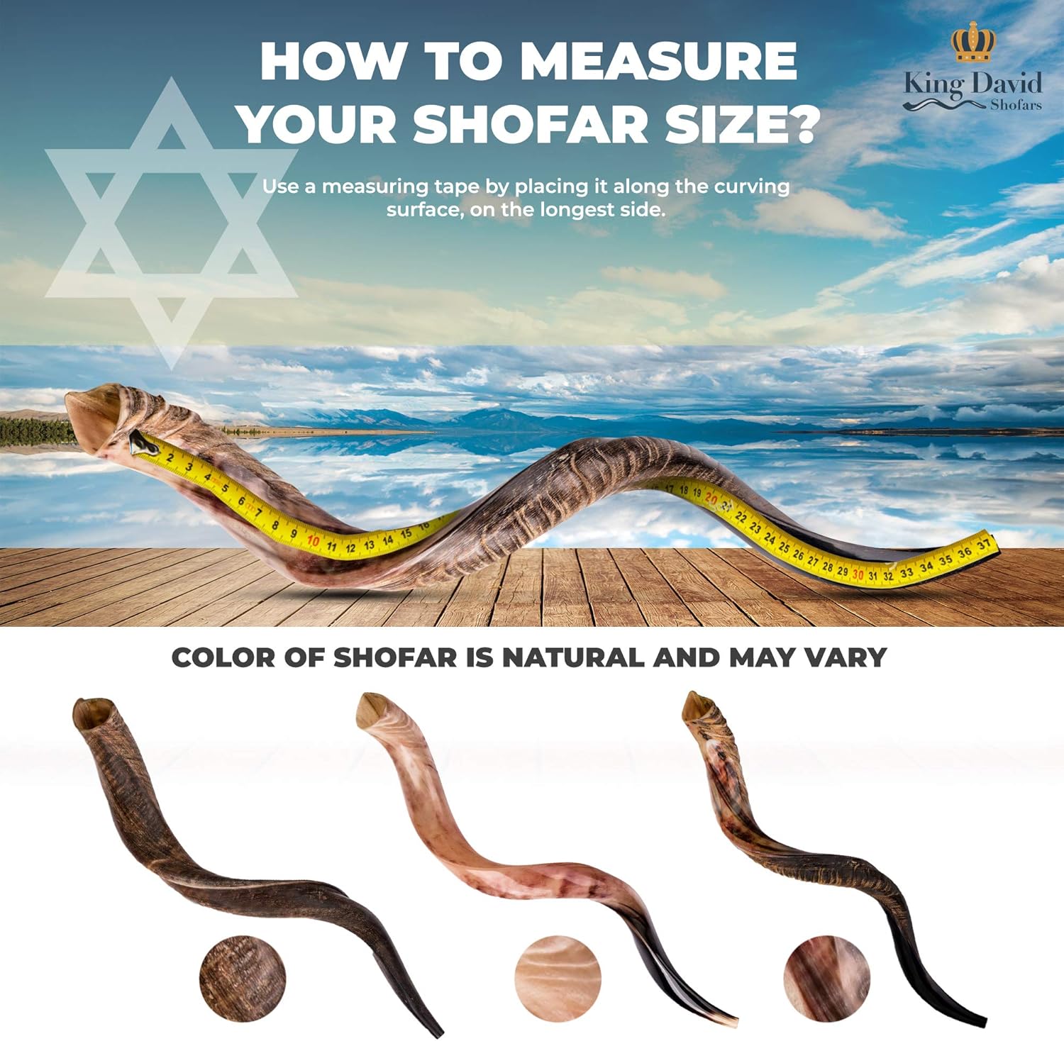 Shofar Horn Instrument - Shofar Angels Musical Instrument - Horn Gift From Israel - Kosher Jewish Shofar - Holy Instrument For Jewish - Traditional Israeli Horn - Half Polished (43"-45" - Super Jumbo)