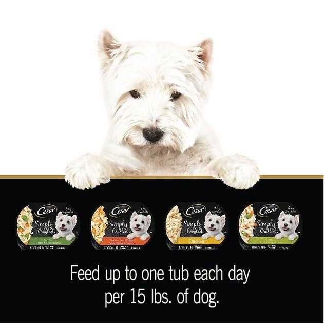 Cesar Wholesome Bowls Wet Dog Food - Pet Supplies online store