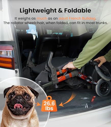 Walkers for Seniors, Rollator Walker with Seat, Transport Wheelchair Lightweight Foldable, Adult Rolling Walker, Rollator Transport Chair with Brakes, 2 in 1 Walker Wheelchair Combo Z51-2024 New