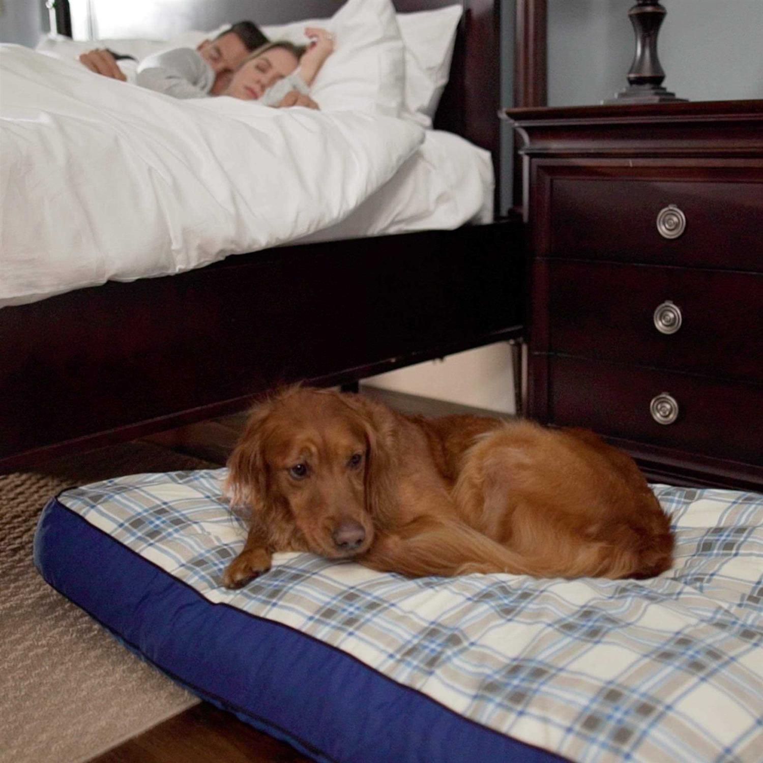 MyPillow Dog Bed - Pet Supplies online store