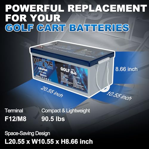 Weize 12V 100Ah TM LiFePO4 Lithium Battery, Built-in Smart BMS, Group 31 Deep Cycle Battery Perfect for Trolling Motor, RV, Solar, Marine, Overland/Van, and Off Grid Applications
