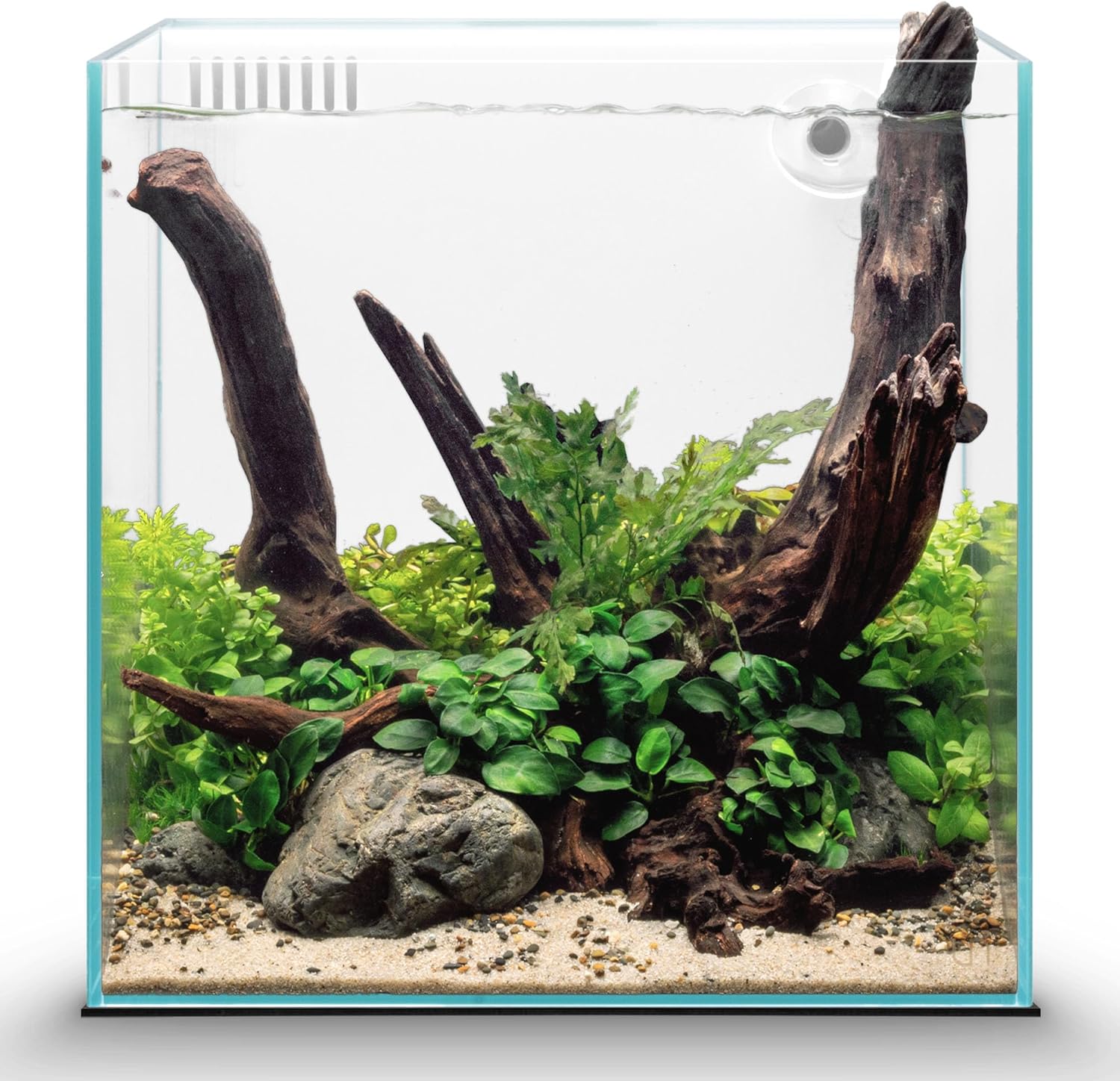 Ultum Nature Systems Rimless All in One Aquarium - Cube Fish Tank, Freshwater AIO Aquarium, Rimless Fish Tank w/Triple-Chamber Filter & White Background - 7 Gallon - 11.81" x 11.81" x 11.81" - 30A