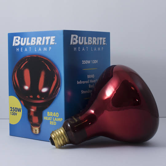 Bulbrite Incandescent (INC) BR40 250W Dimmable Red Heat Lamp Light Bulb, 6 Pack (714125)