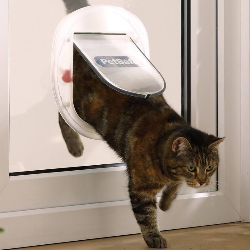 Staywell Big Cat/Small Dog Pet Door - White