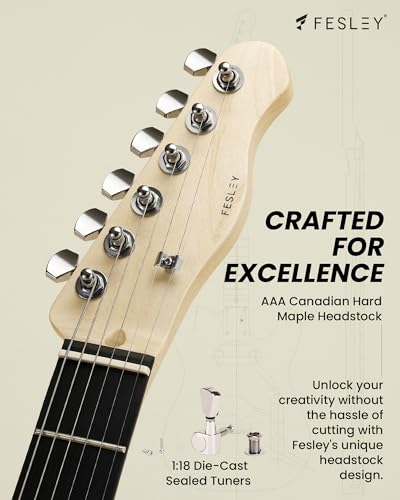 Fesley DIY LP Style Electric Guitar with Mahogany Wood Body/Neck, 6 String, Techwood Fretboard, H-H Pickups, Flamed Maple Veneer Top, Build Your Own Guitar Kit - Natural