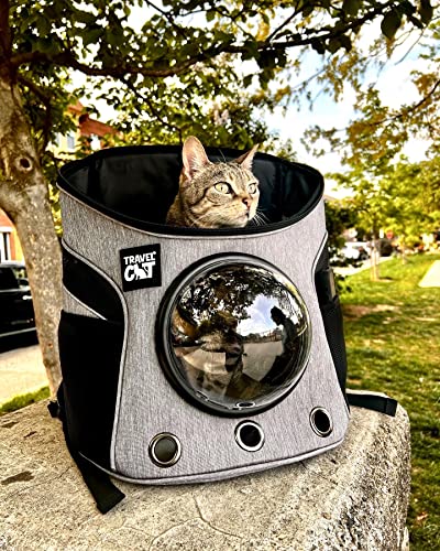 Fat Cat Backpack Carrier - Airline Approved Cat Carrier with Space Capsule Bubble for for Small Cats, Kitten - Premium Stray Cat Carrier Backpack for Outdoor, Travel, Hiking, Pet Supplies