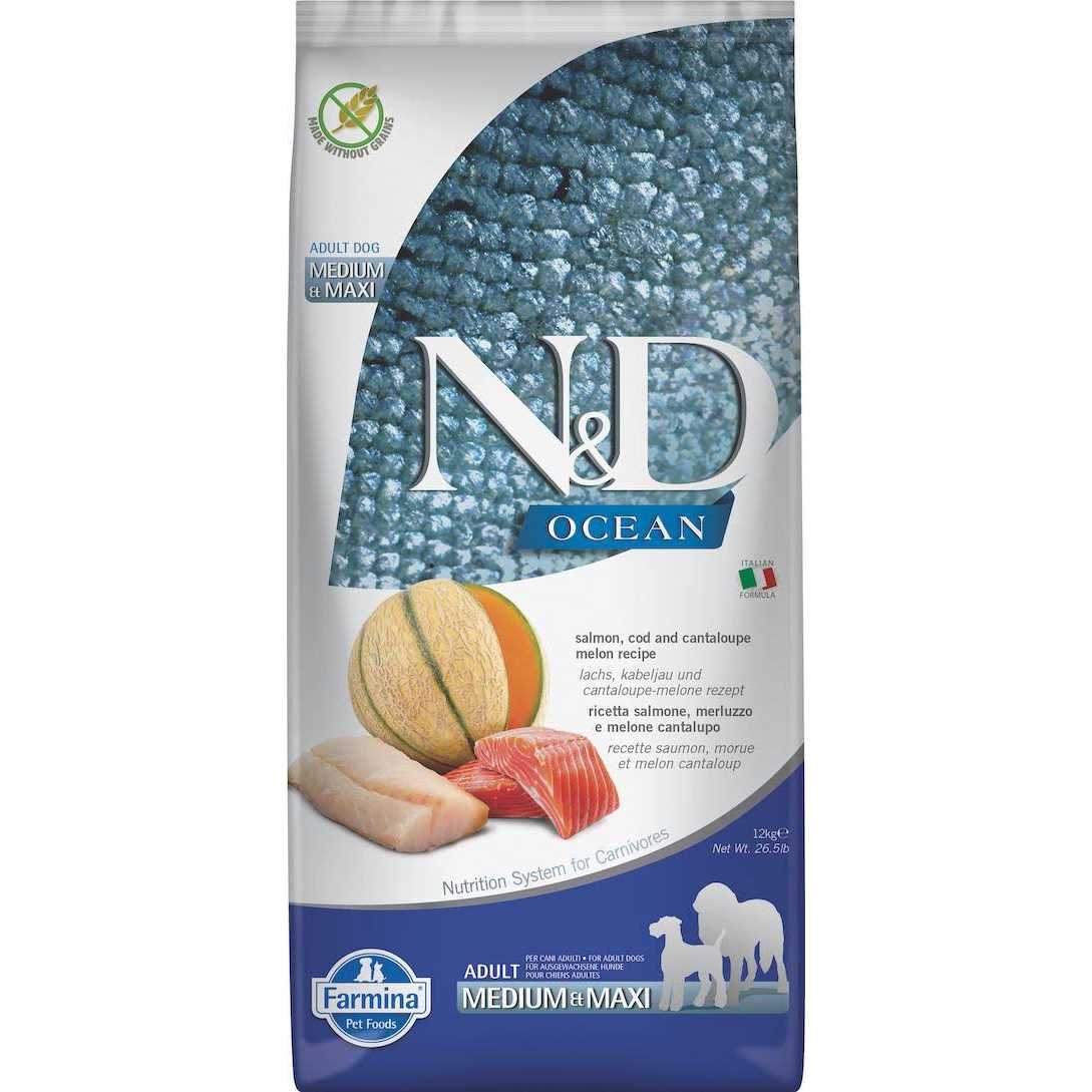 Farmina N&amp;D Pumpkin Lamb &amp; Blueberry Mini Dog Dry Food - Pet Supplies online store