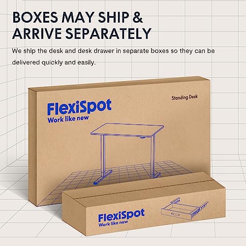 FLEXISPOT Standing Desk with Drawer Electric Sit Stand Desk with 48 x 24 Inches Whole-Piece Desktop Ergonomic Memory Controller Adjustable Height Desk(White Frame + 48" Bamboo Texture Desktop)