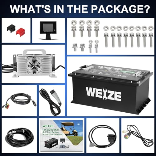 Weize 12V 100Ah TM LiFePO4 Lithium Battery, Built-in Smart BMS, Group 31 Deep Cycle Battery Perfect for Trolling Motor, RV, Solar, Marine, Overland/Van, and Off Grid Applications