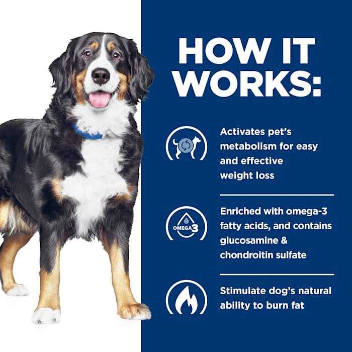 Hill's Prescription Diet Metabolic + Mobility Weight &amp; Joint Care Chicken Flavor Dry Dog Food - Pet Supplies online store