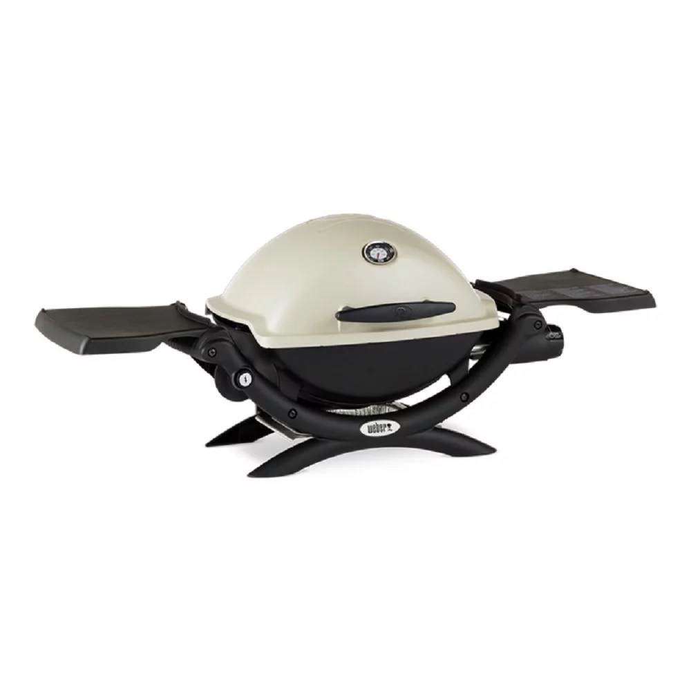 Weber Q 2200 Gas Grill - Liquid Propane (Titanium) with Adapter Hose