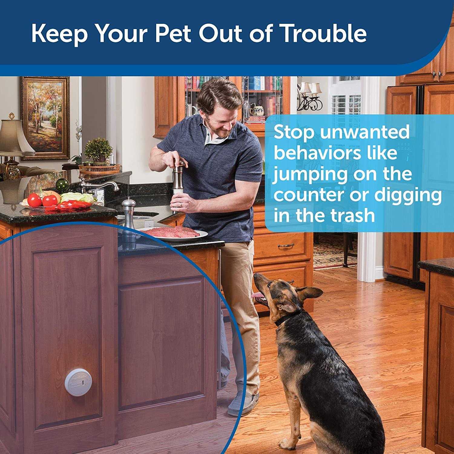 PetSafe Pawz Away Indoor Pet Barrier - Pet Supplies online store