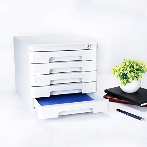 Desktop File Cabinet, Office Storage Box with Lock/Blank Label, 5-Layer Drawer Storage Organization-2Color (A1)