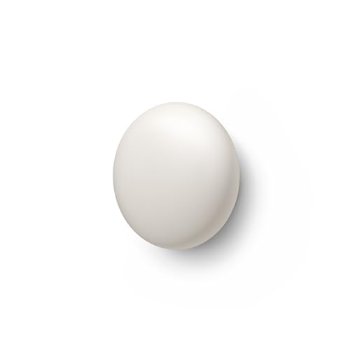 Google Nest Temperature Sensor (2nd Gen) - Room Comfort Sensor with Scheduling - Works with The Nest Learning Thermostat (3rd and 4th Gen) and Nest Thermostat E - Porcelain