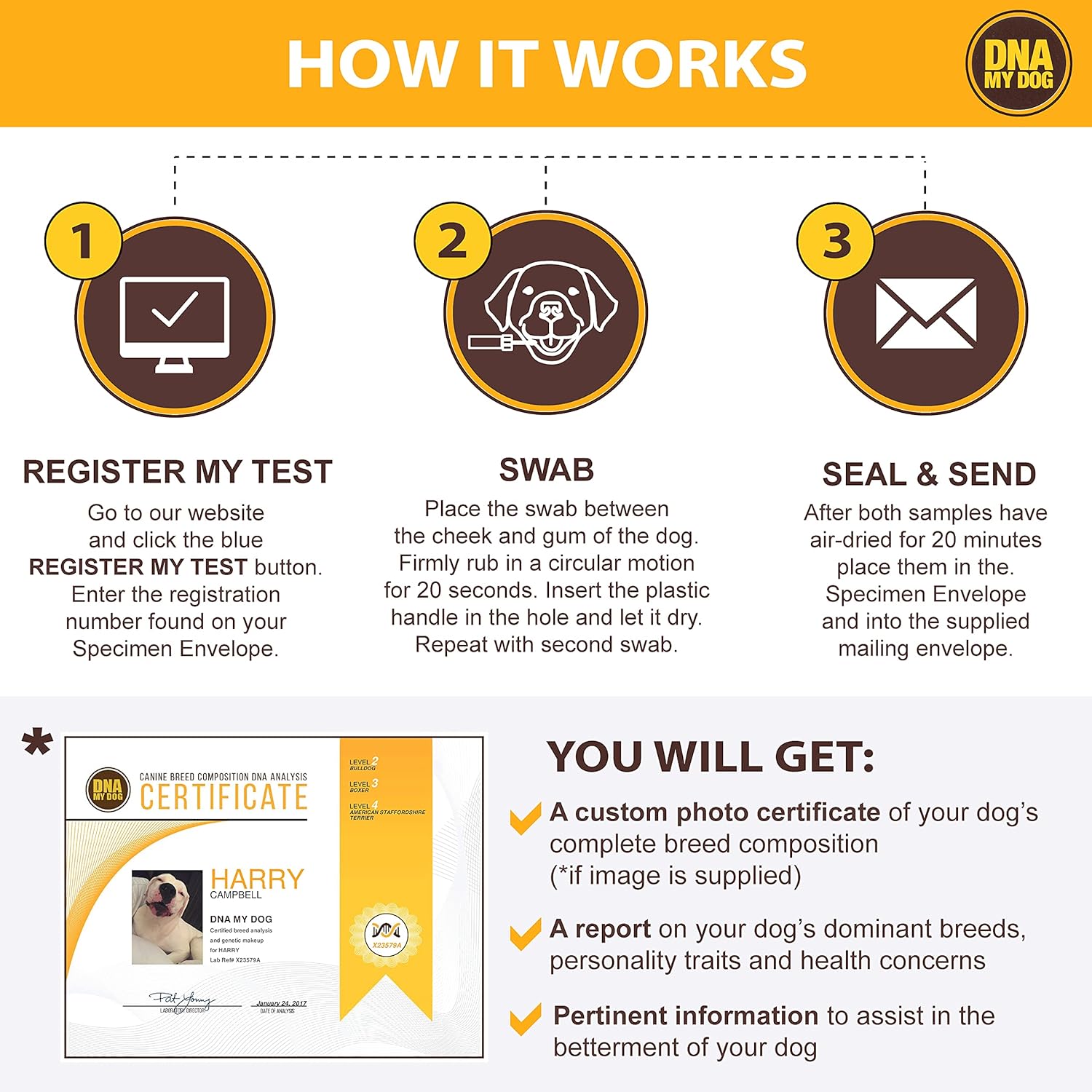 Dna My Dog Canine Breed Identification Test
