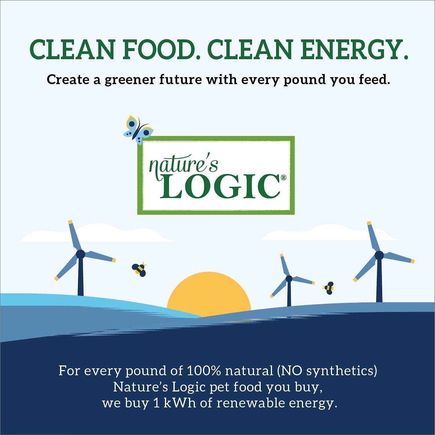 Nature's Logic Canine Beef Meal Feast Grain-Free Dry Dog Food - Pet Supplies online store