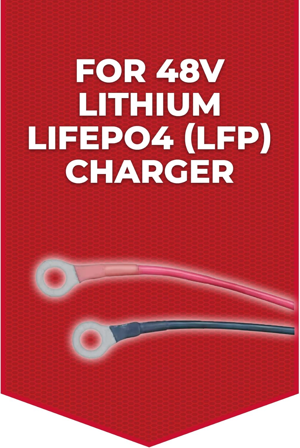 FORM 15 AMP Lithium Onboard Battery Charger for 48 Volt Golf Carts
