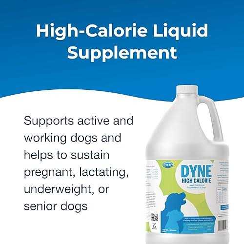 Dyne High Calorie Liquid Nutritional Supplement for Dogs and Puppies - Pet Supplies online store