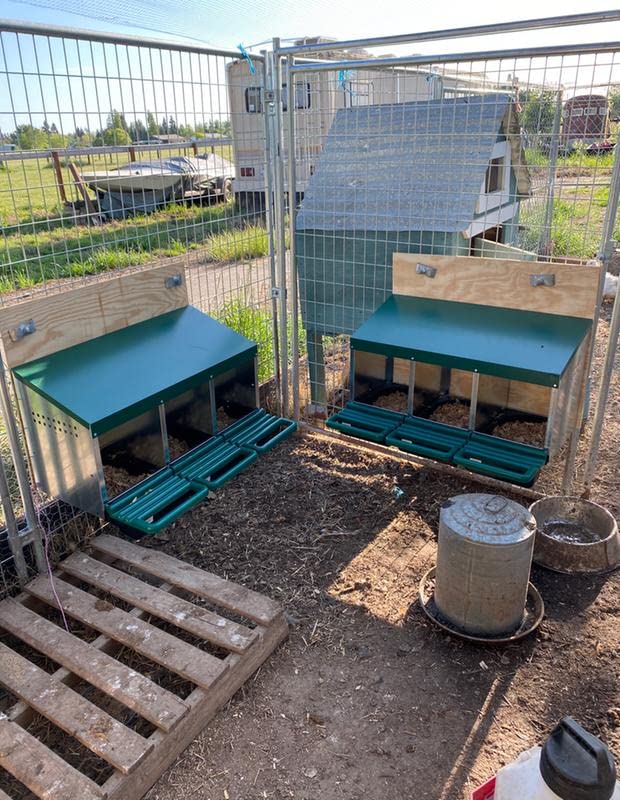 3 Compartment Roll Out Nesting Box for Chickens | Heavy Duty Chicken Coop Nesting Box with Lid Cover to Protect Eggs (with Perch) | for Up to 15 Hens